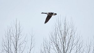 Mark Schaefer Photography